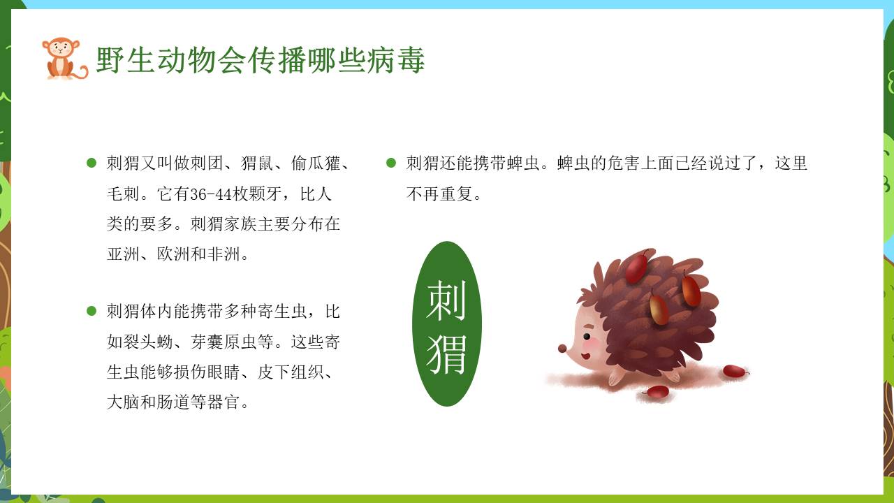 节日班会 (20).pptx